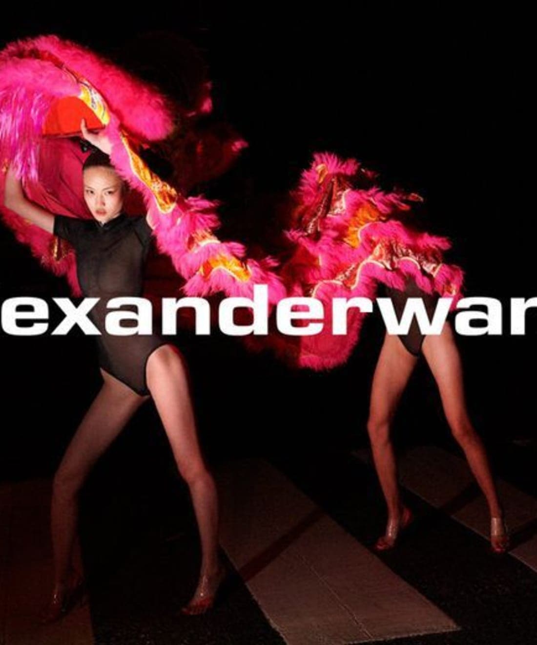 alexander-wang-collection-1-drop-3-campaign-1.jpg