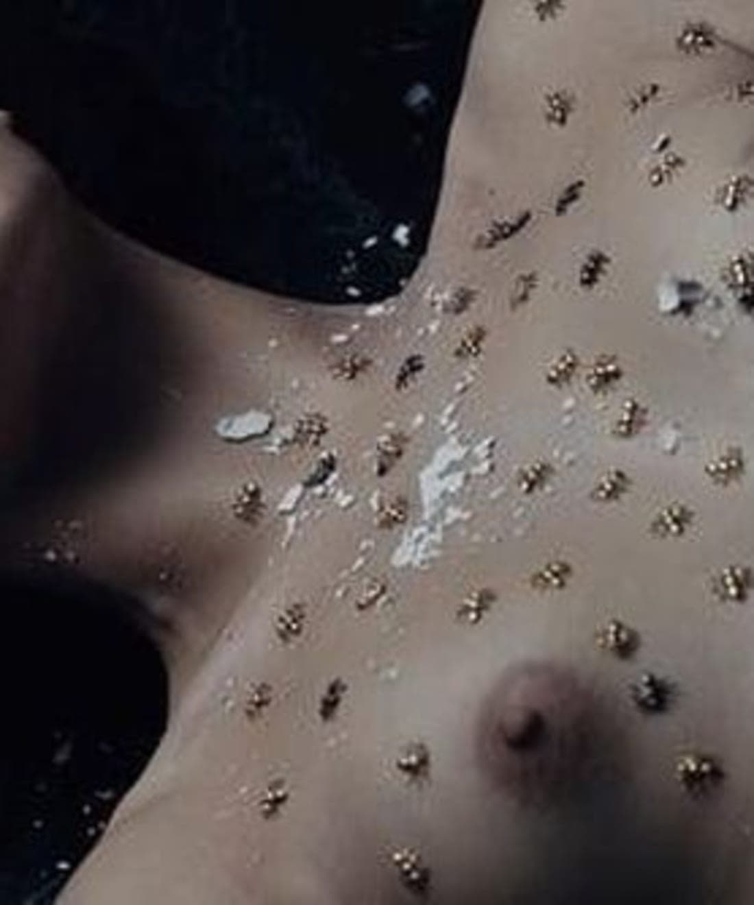 alolo-jewelry-2015-1.jpg