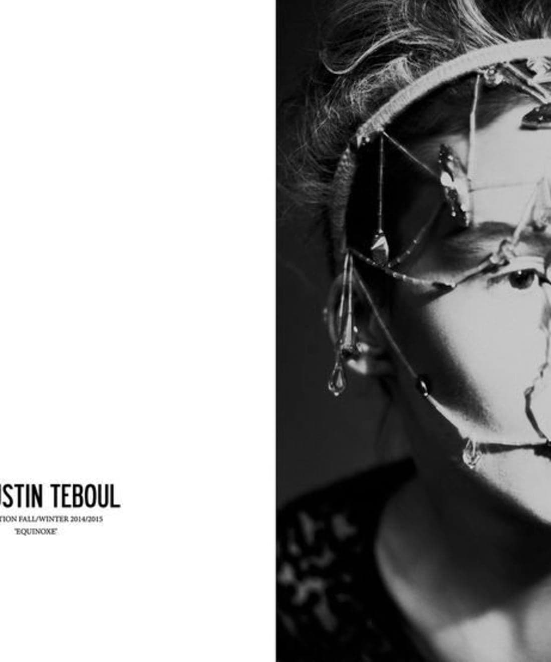 augustin-teboul-f-w-2014-15-1.jpg