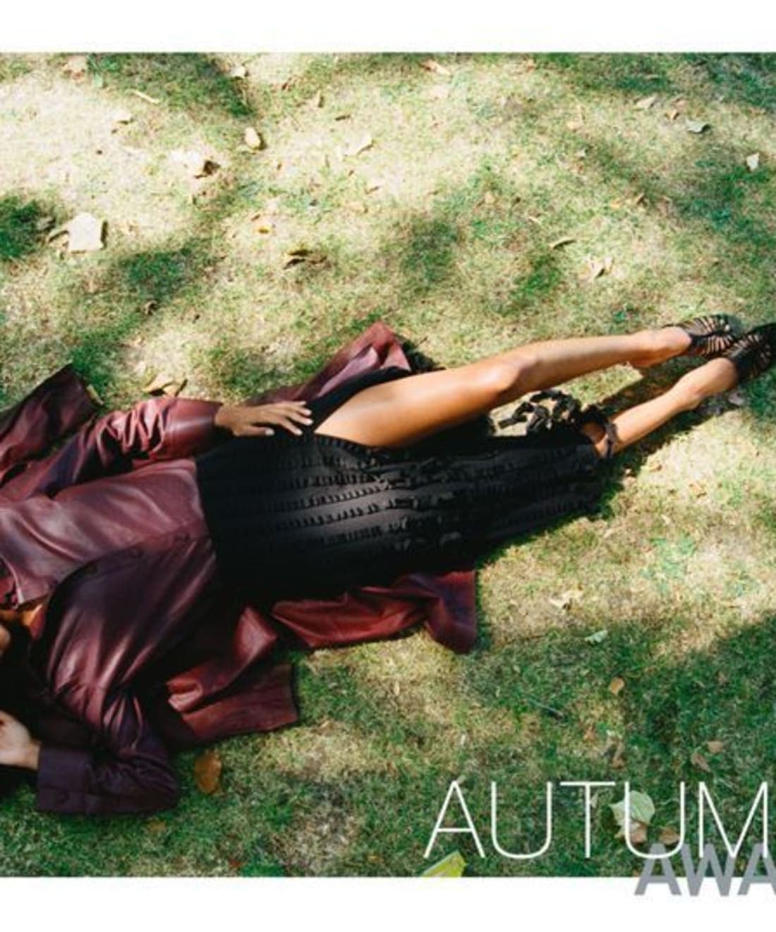 autumn-awakening-by-danika-magdelena-1.jpg