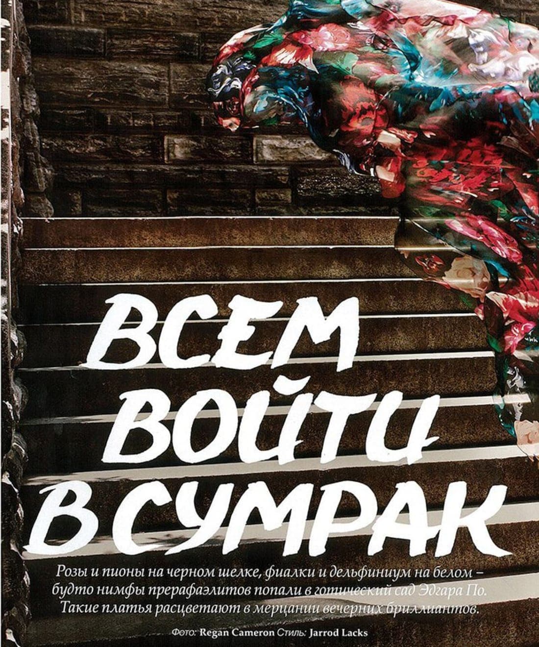 bcem-boutu-bcympak-1.jpg