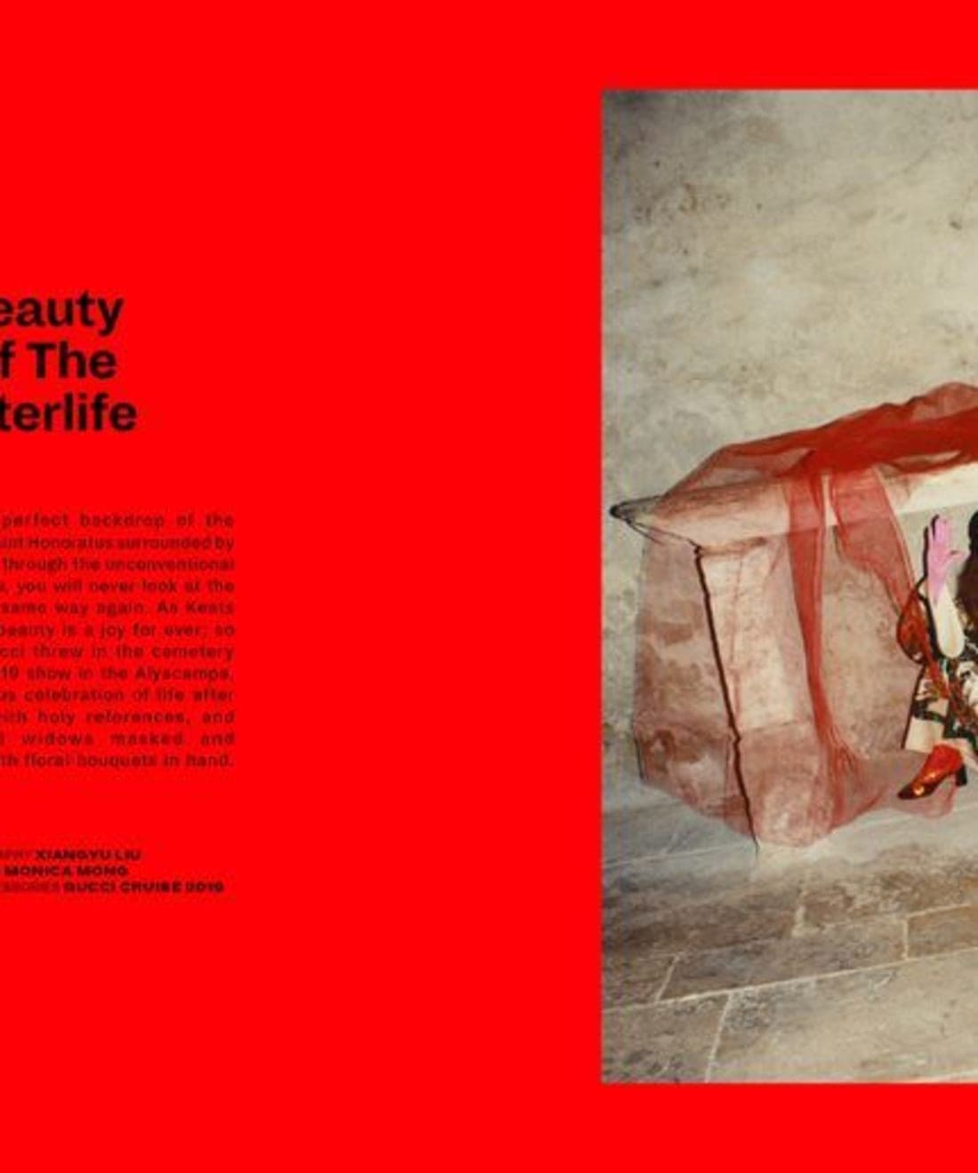 beauty-of-the-afterlife-1.jpg