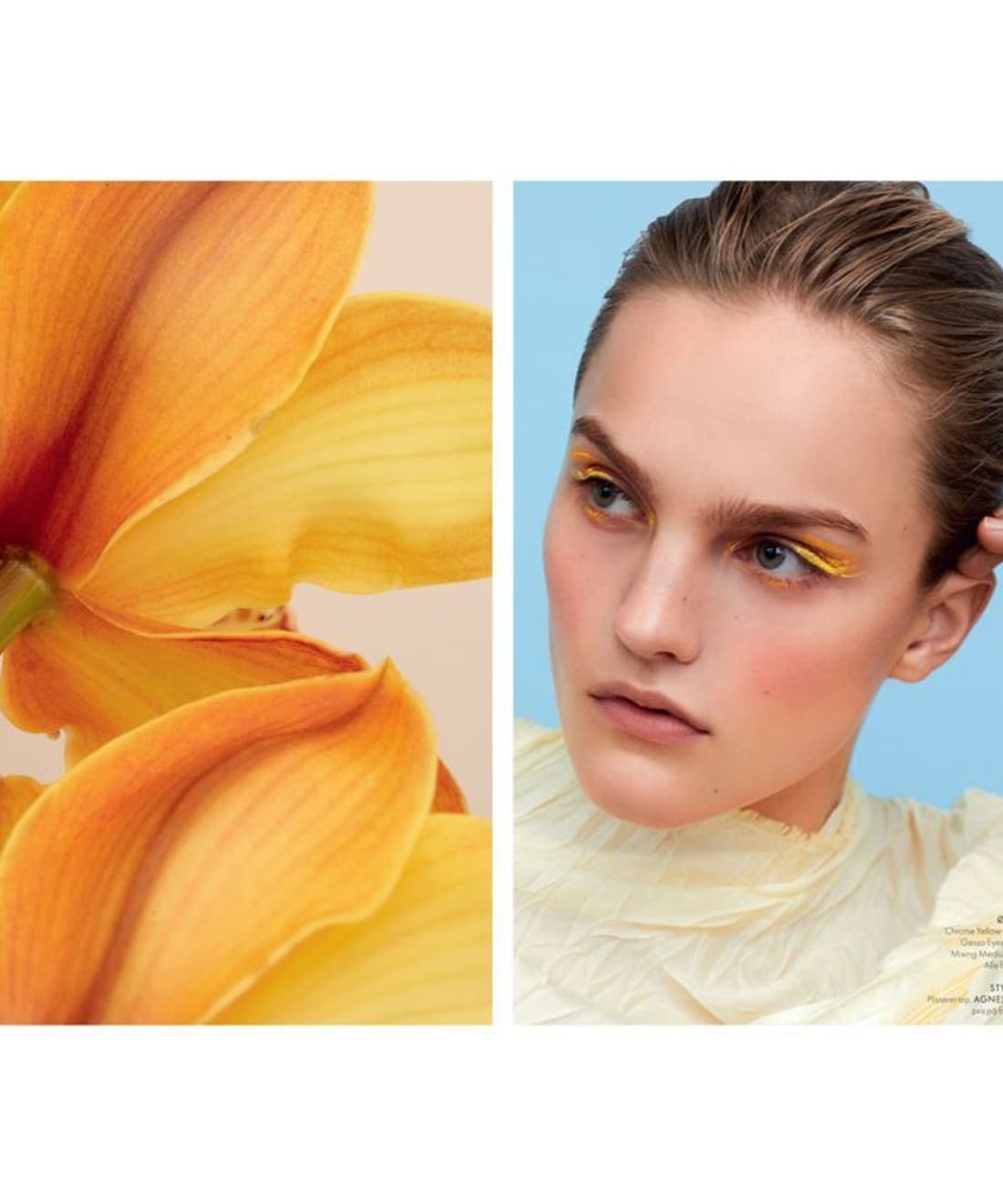 belle-fleur-1.jpg