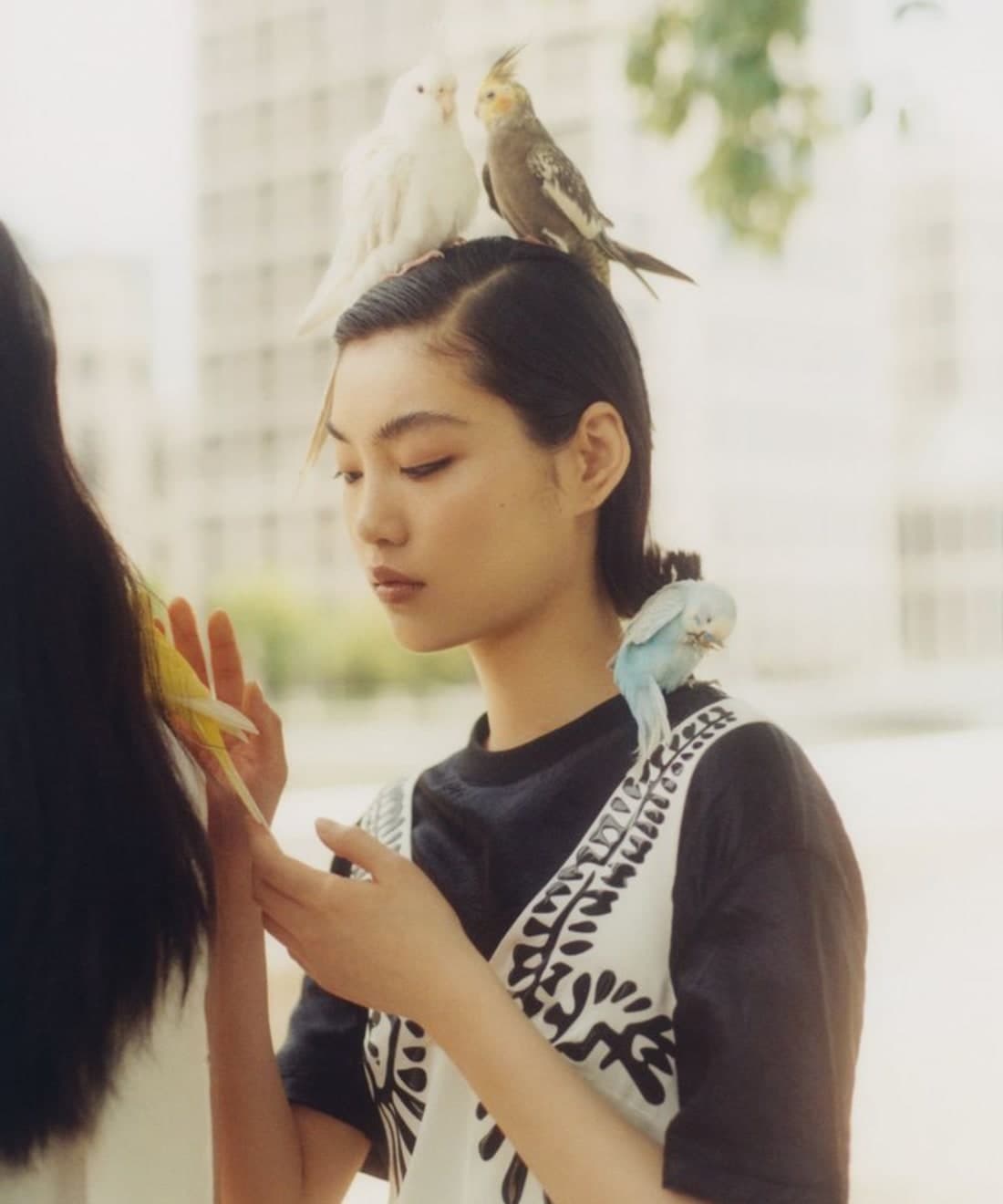 bird-of-a-feather-1.jpg