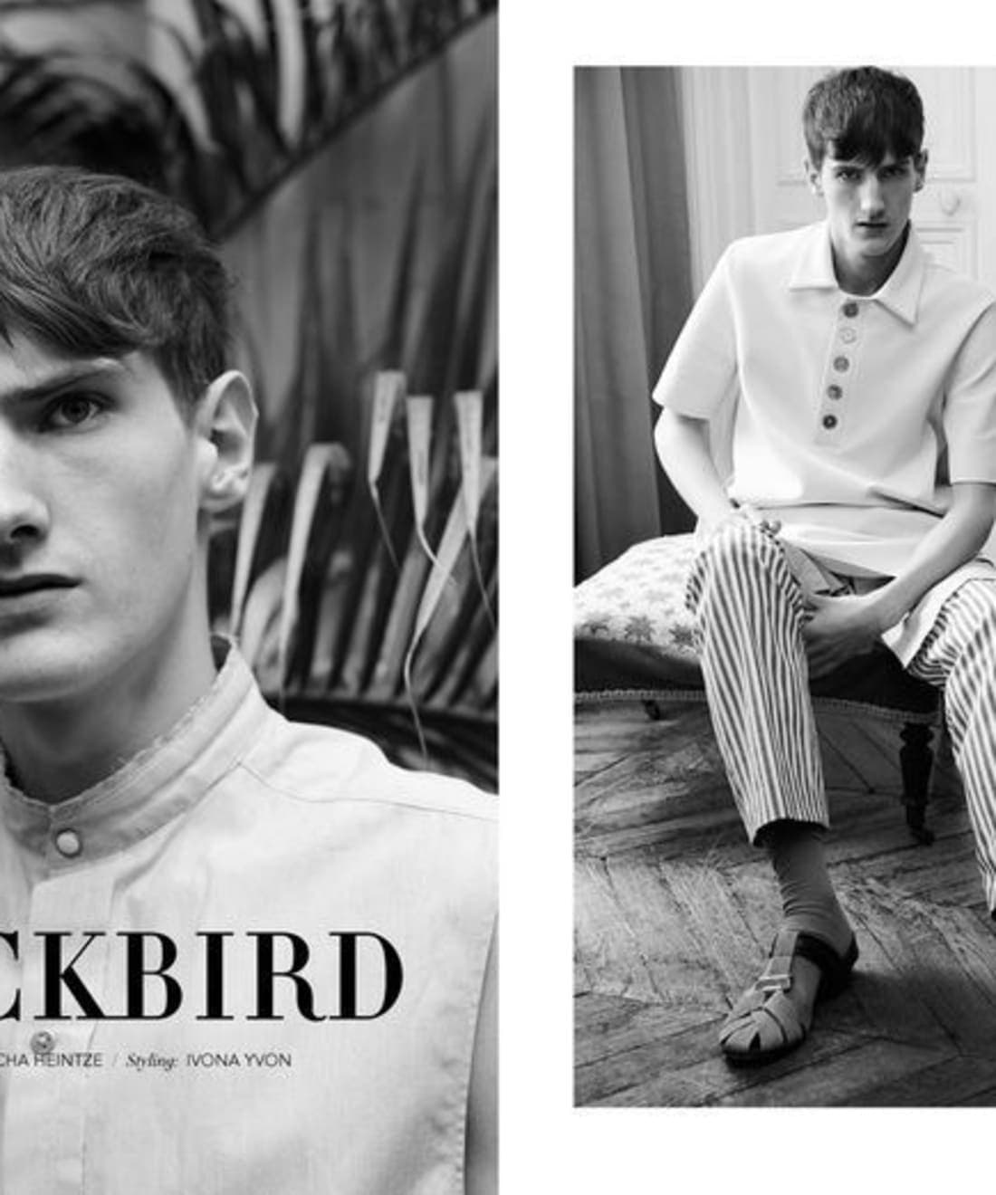 blackbird-for-streets-magazine-1.jpg