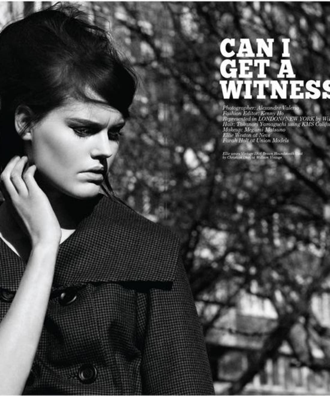 can-i-get-a-witness-by-alexandre-valerio-1.jpg