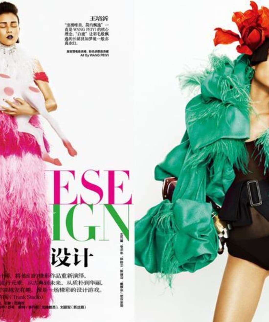 chinese-designer-1.jpg
