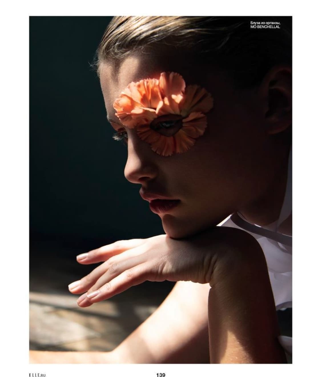 chrysanthemum-1.jpg