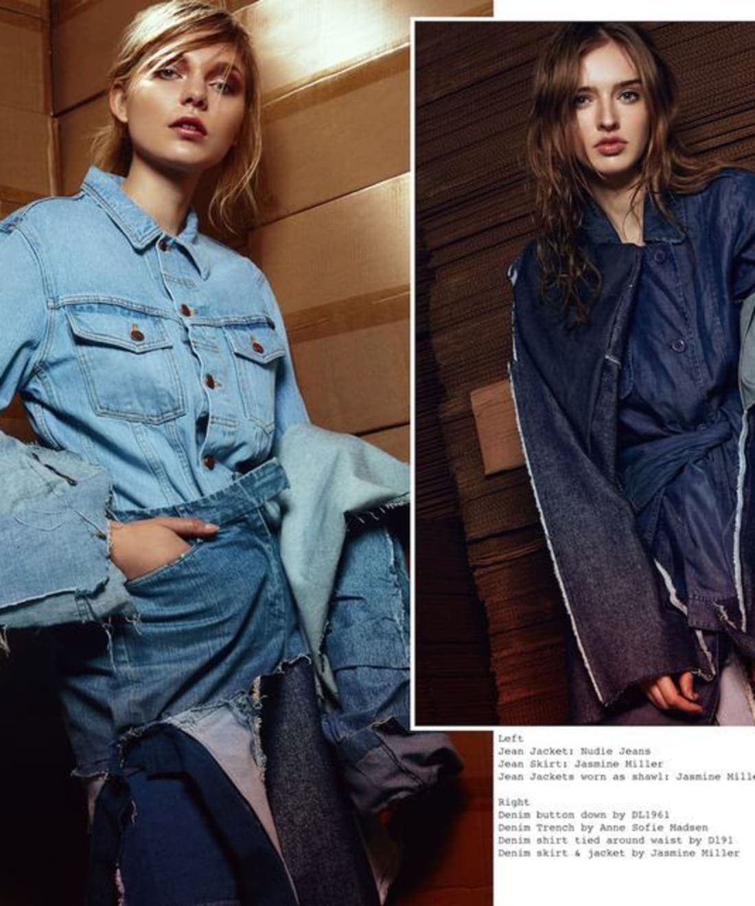 damsels-in-distressed-for-satellite-journal-by-nelson-n-castillo-1.jpg