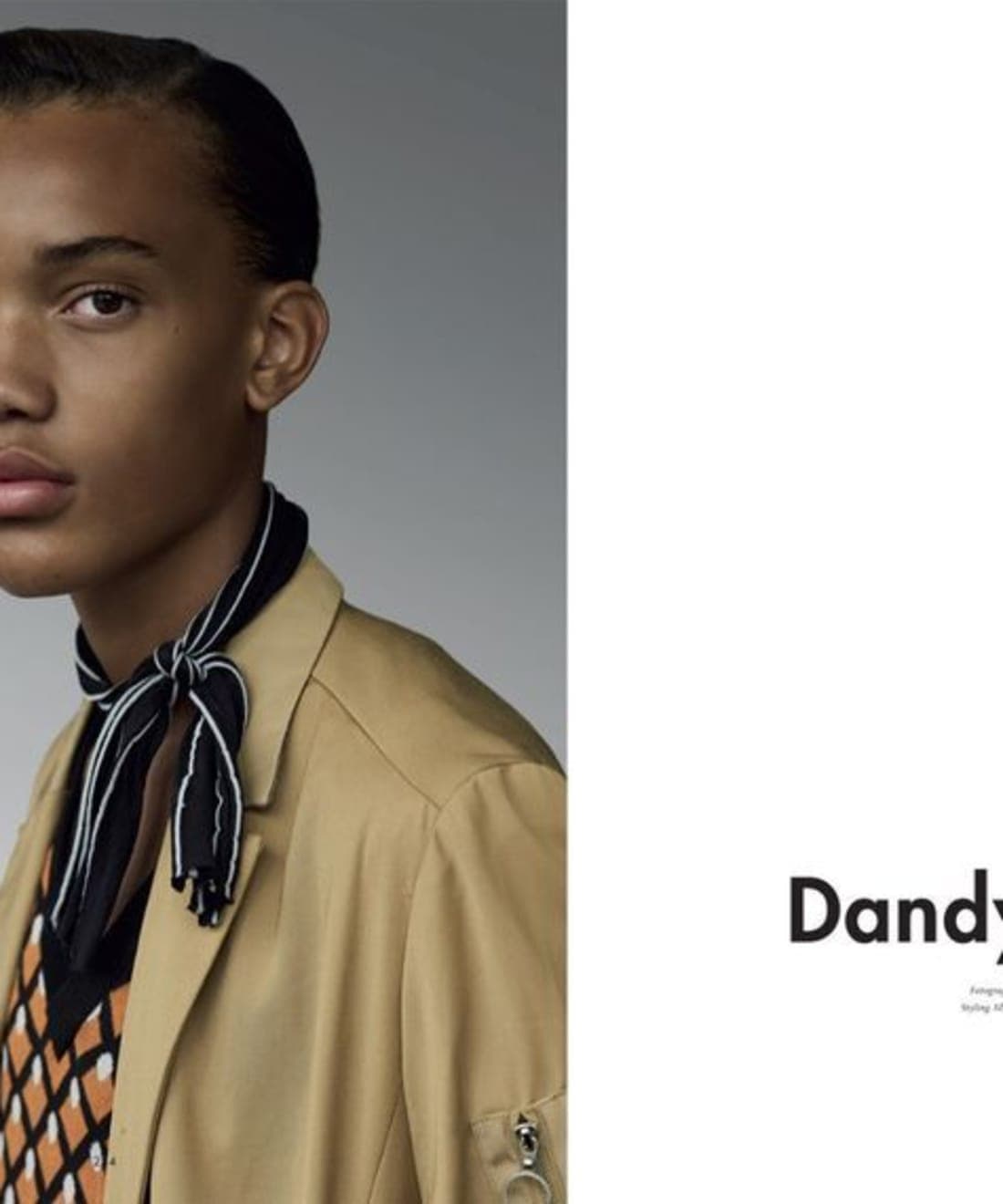 dandy-story-1.jpg