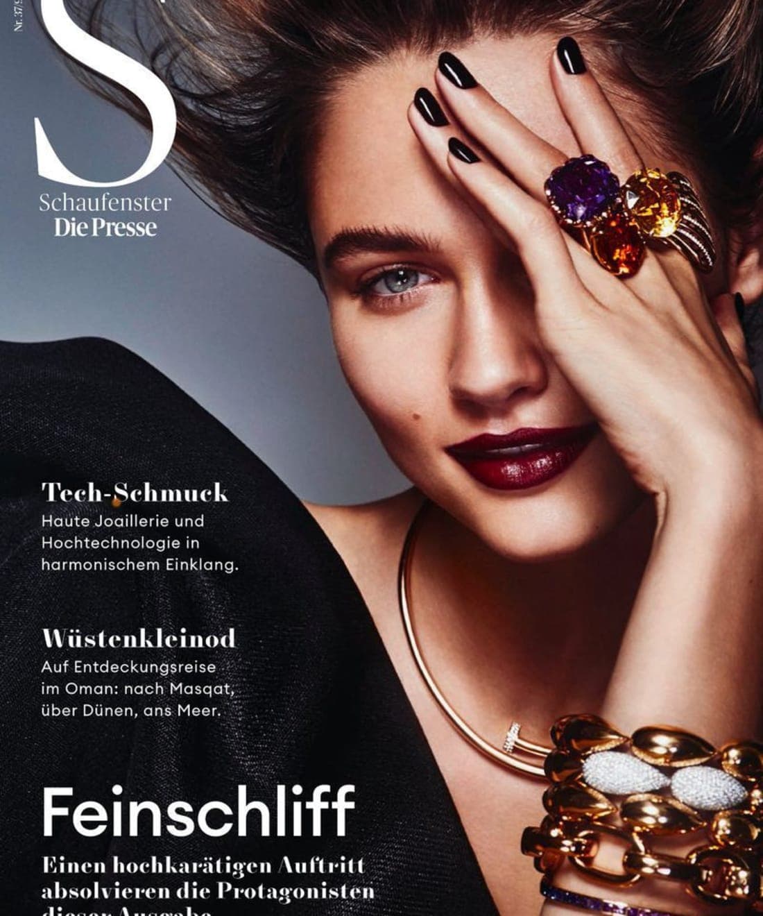 die-presse-schaufenster-november-2018-cover-1.jpg