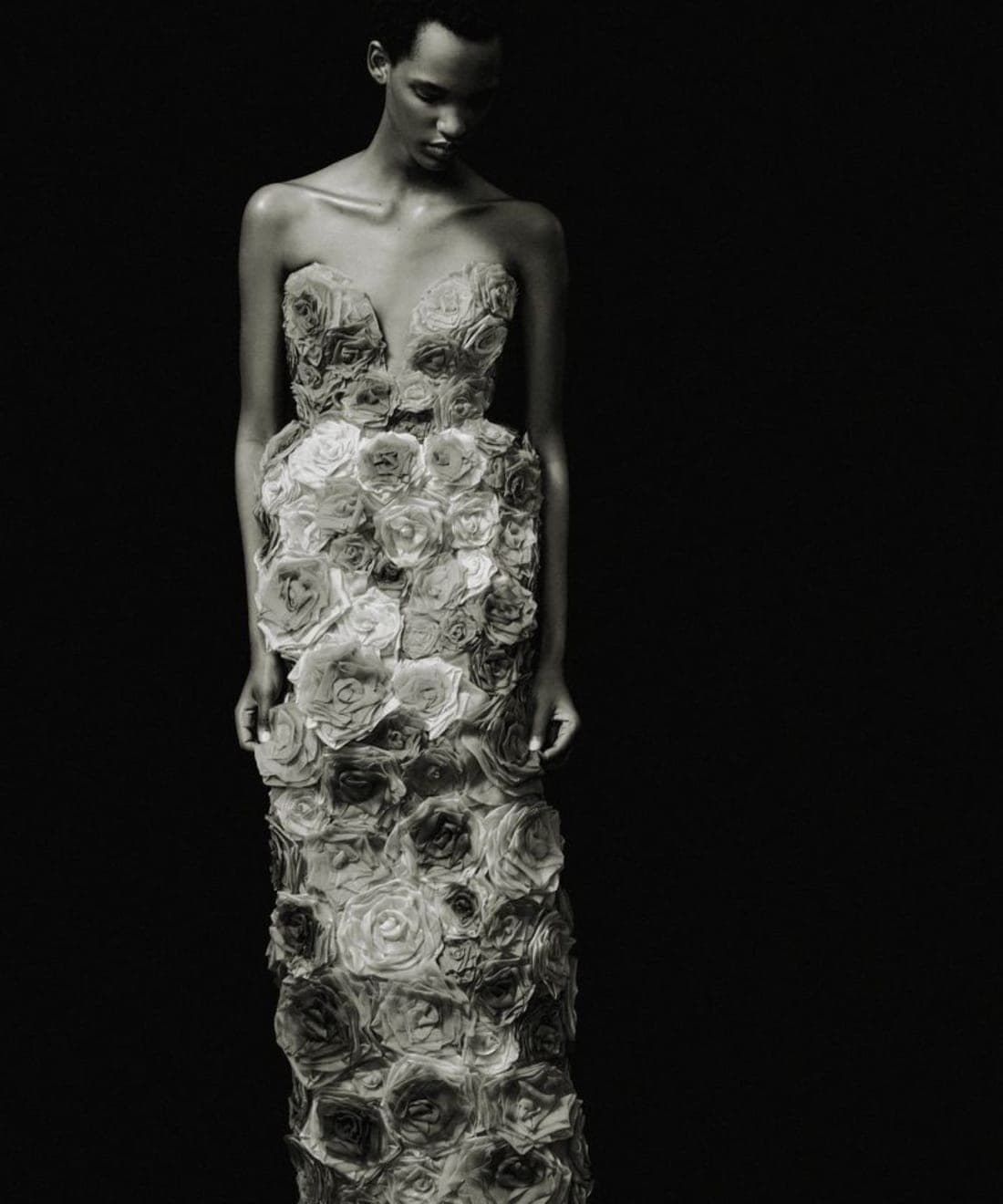 erdem-pre-fall-2024-lookbook-1.jpg