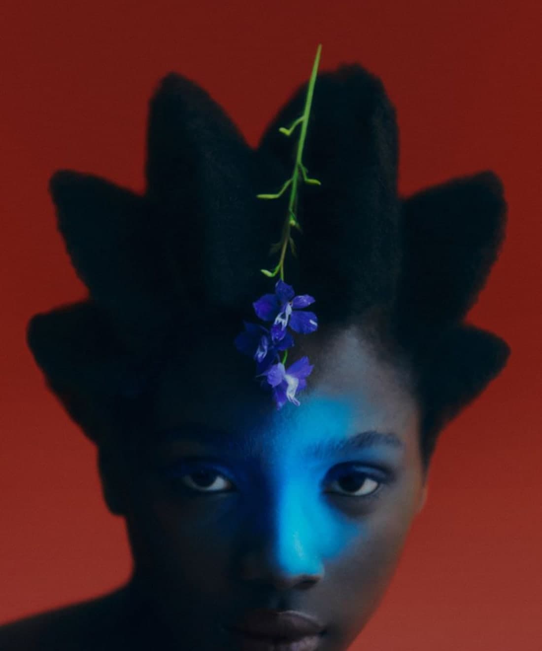 fresh-stems-1.jpg