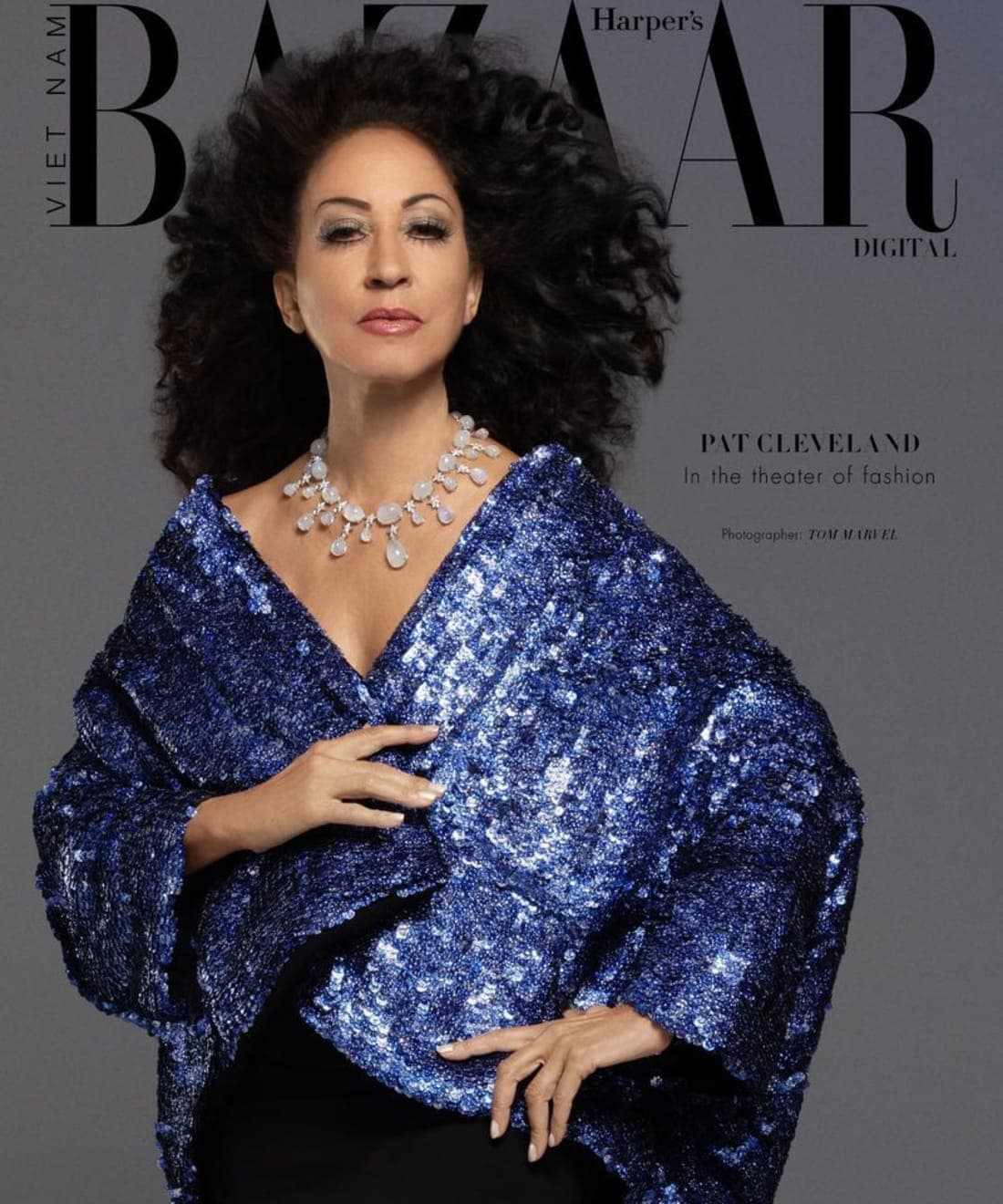 harpers-bazaar-vietnam-december-2025-digital-covers-1.jpg