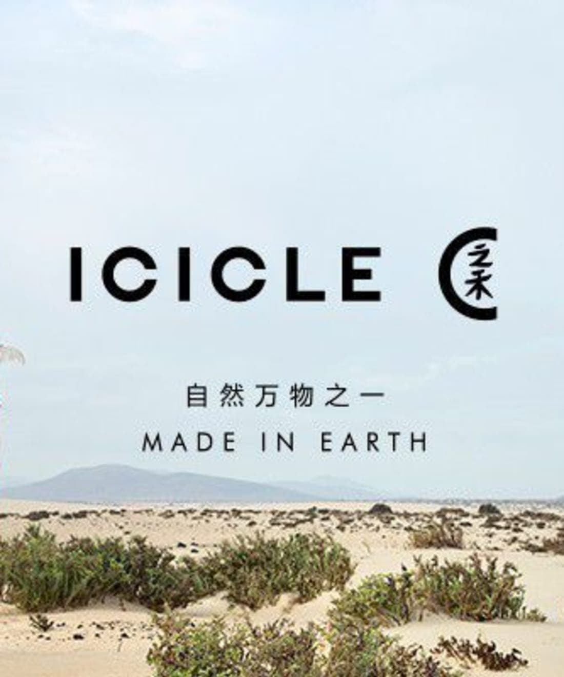 icicle-ss-2018-campaign-1.jpg