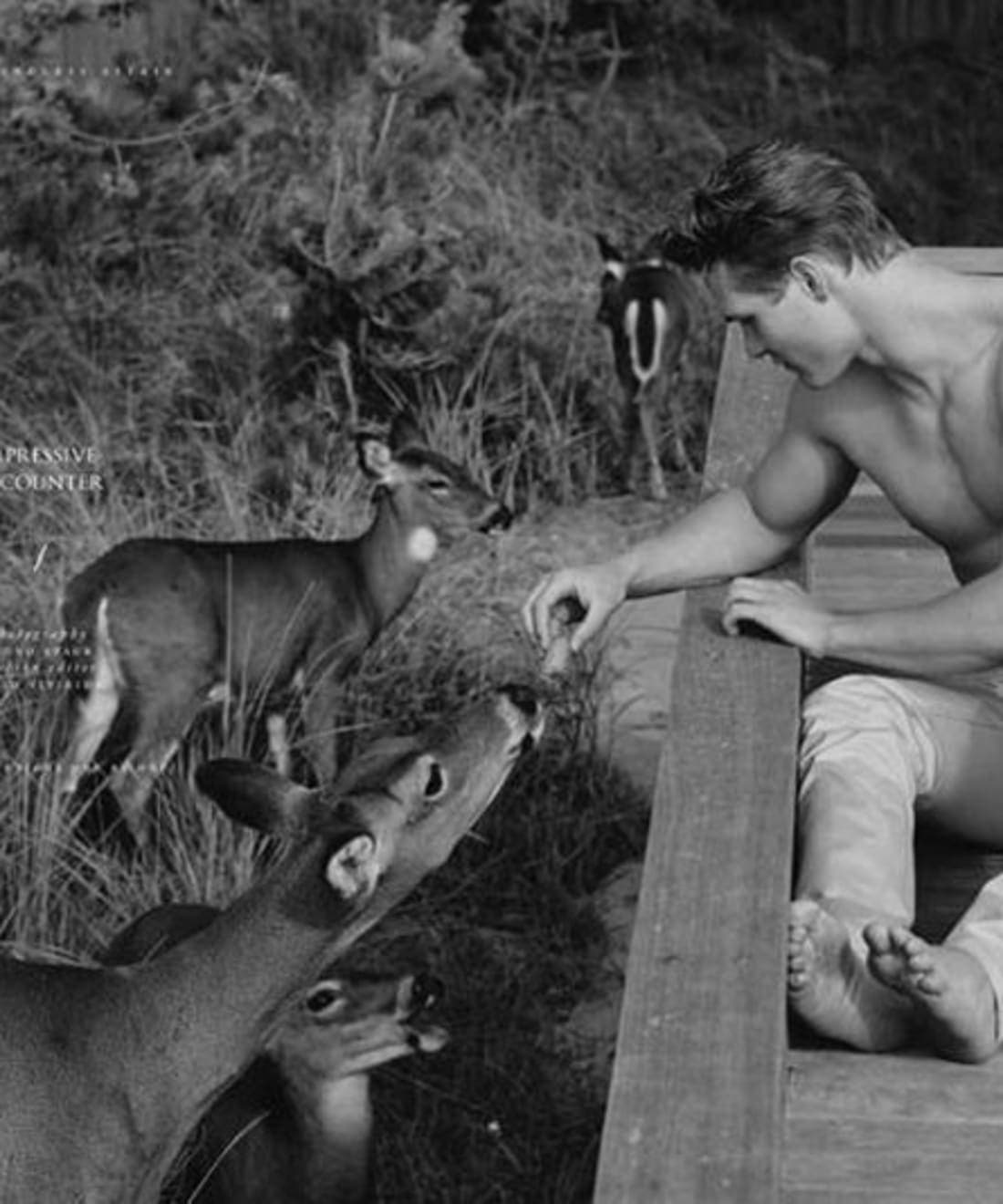impressive-encounter-1.jpg