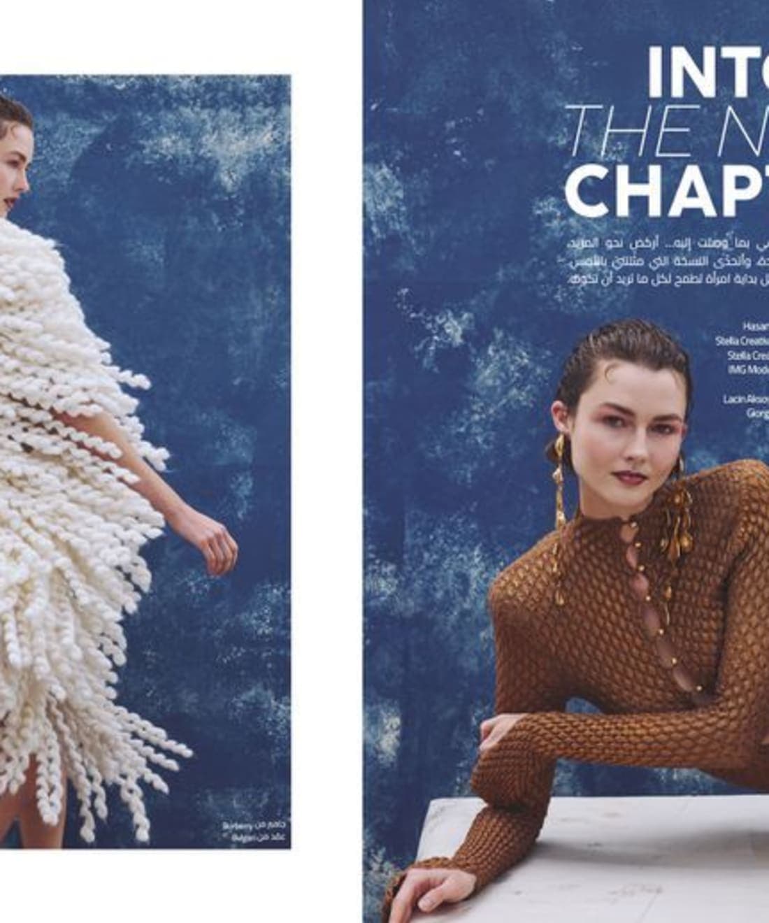 into-the-next-chapter-1.jpg