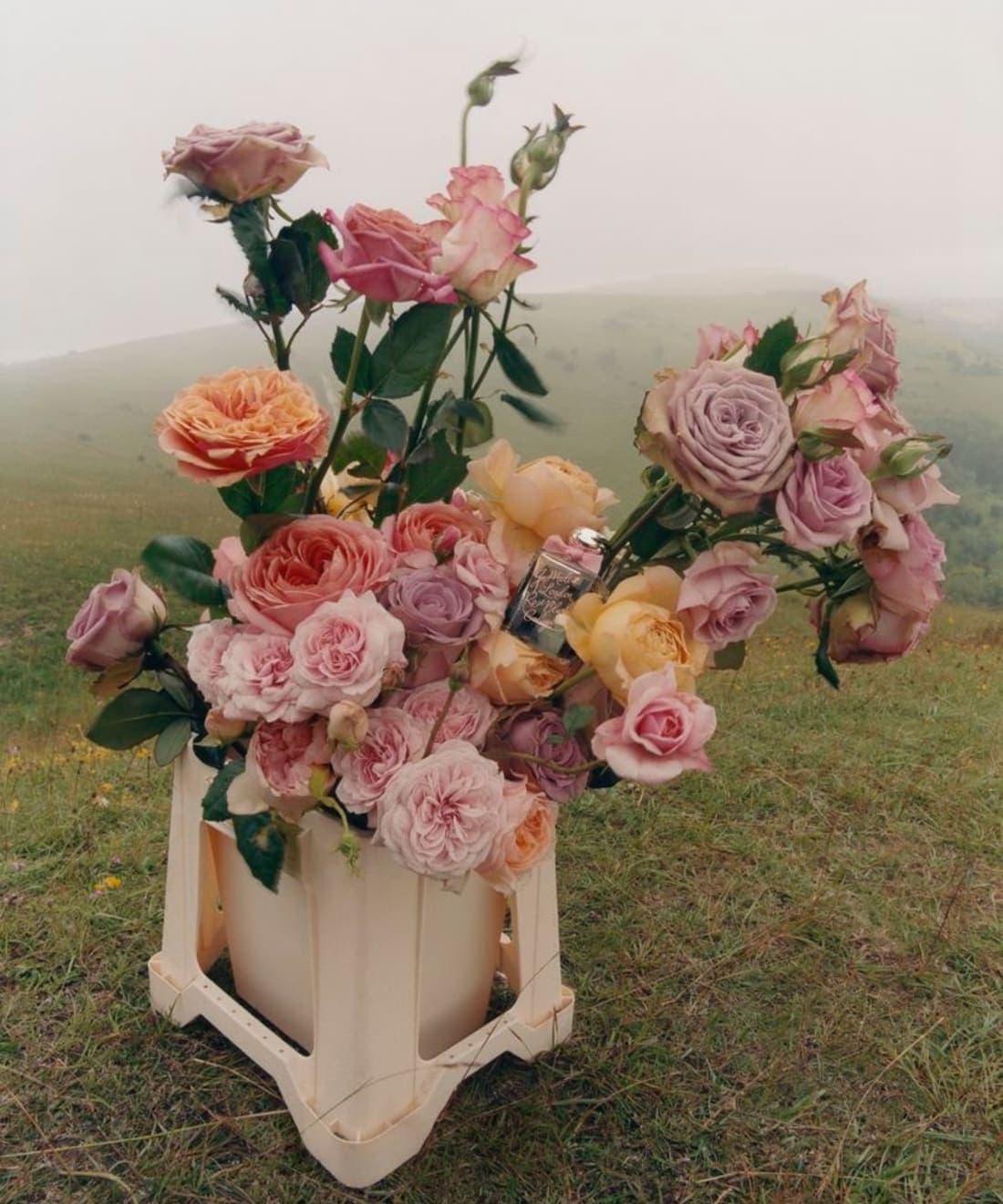 jo-malone-house-of-roses-1.jpg