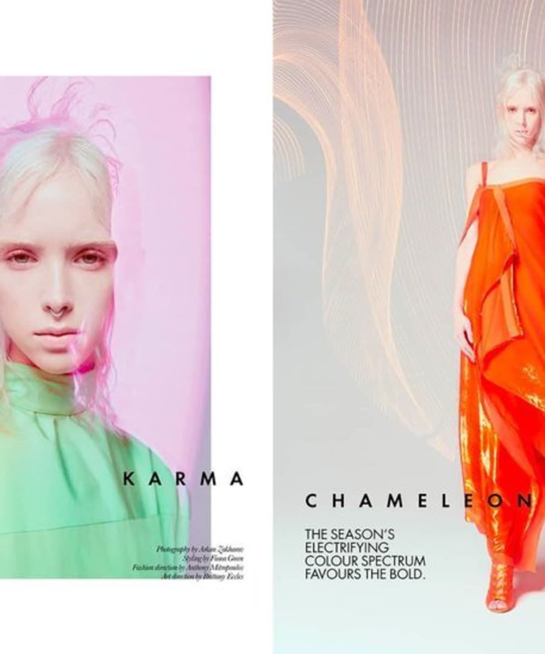 karma-chameleon-1.jpg