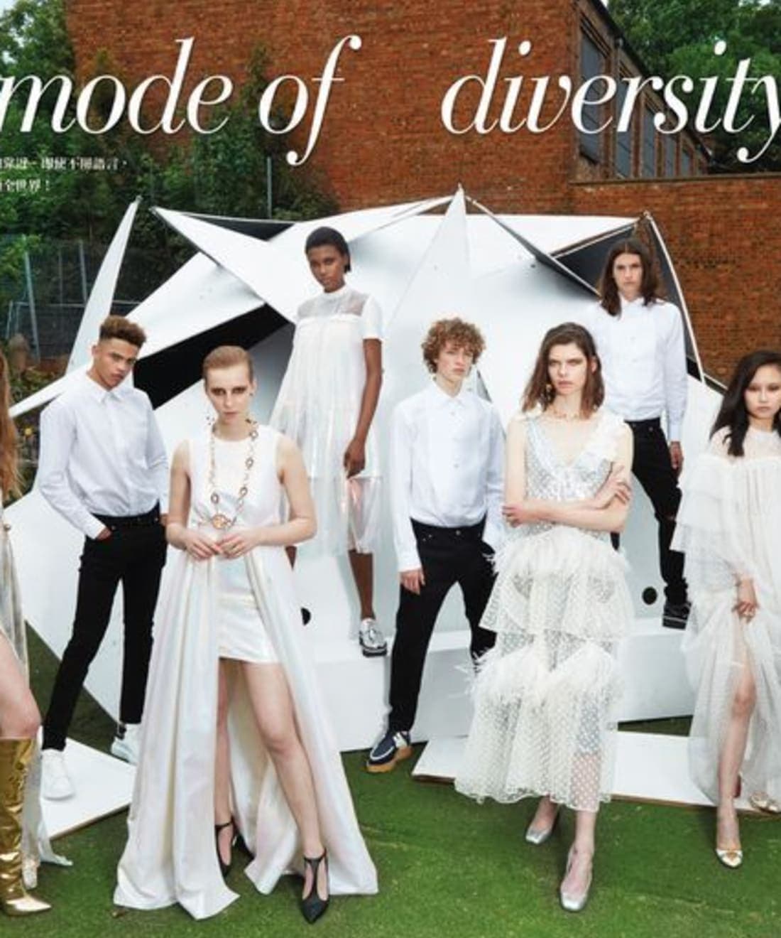 mode-of-diversity-1.jpg