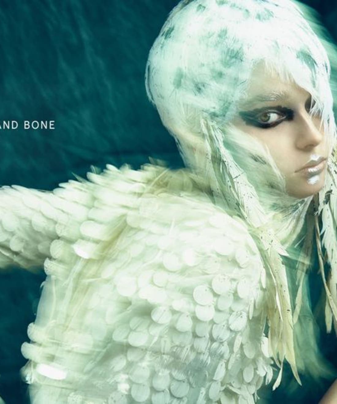 of-feathers-and-bone-1.jpg