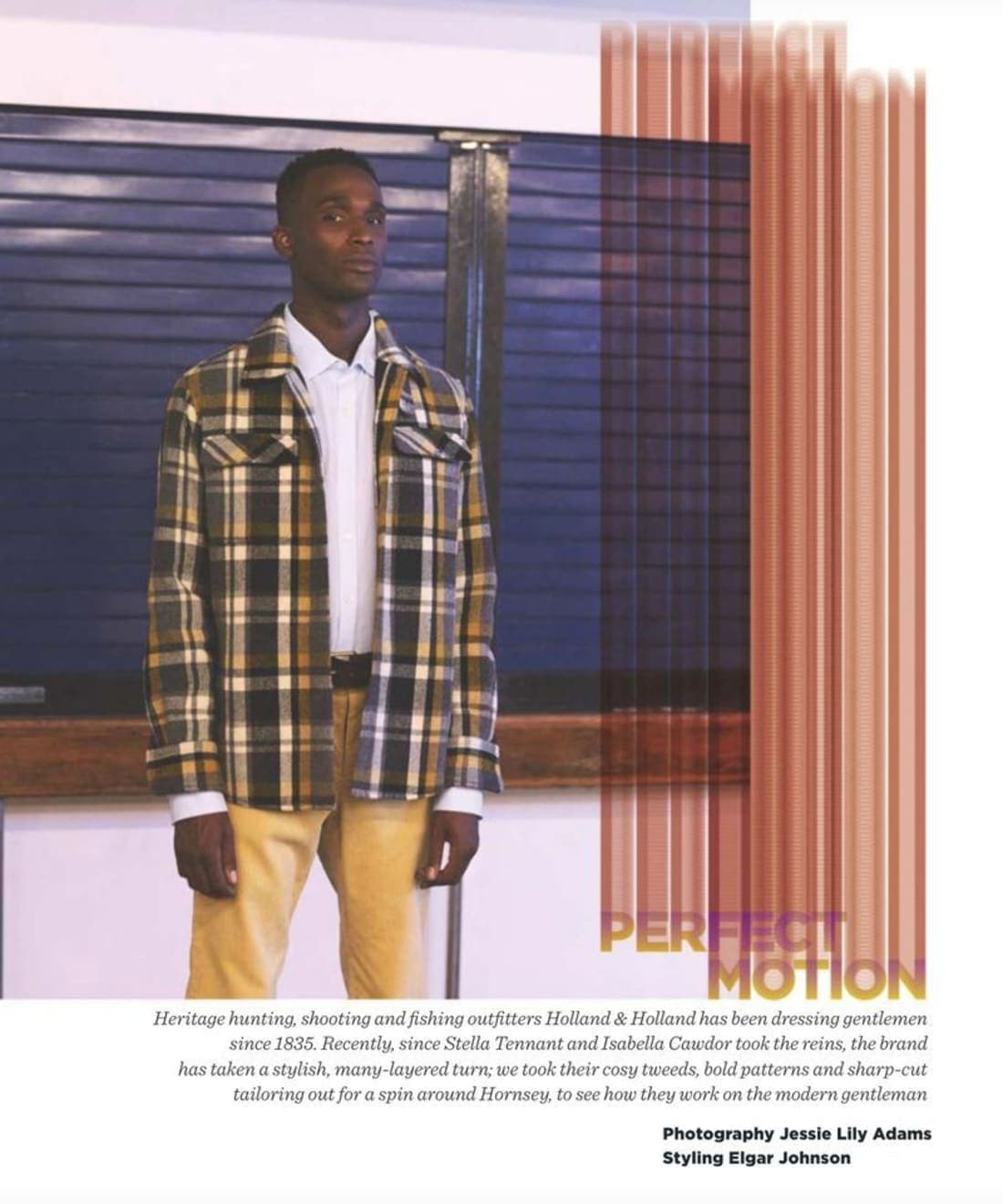 perfect-motion-1.jpg