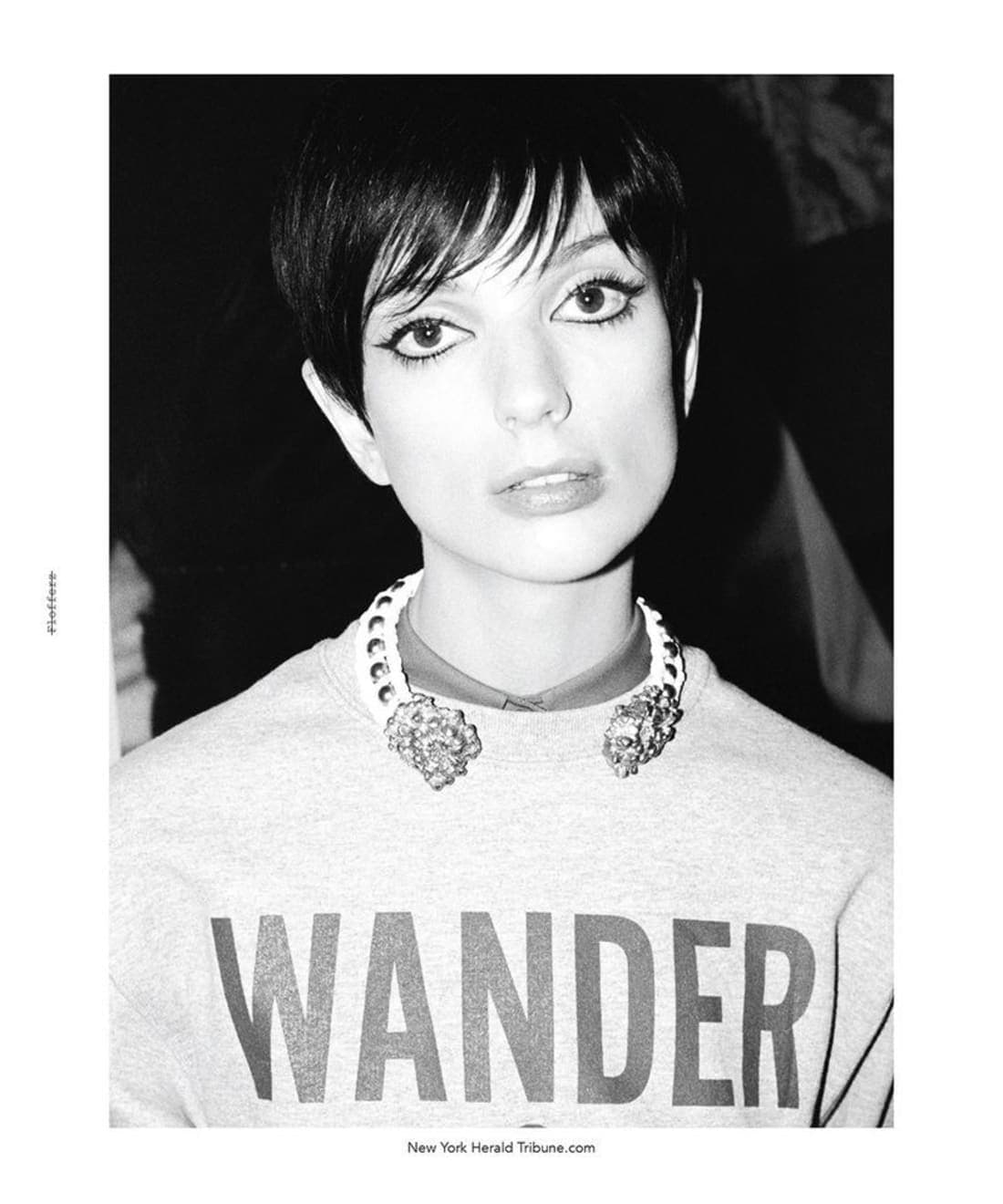 pixie-1.jpg