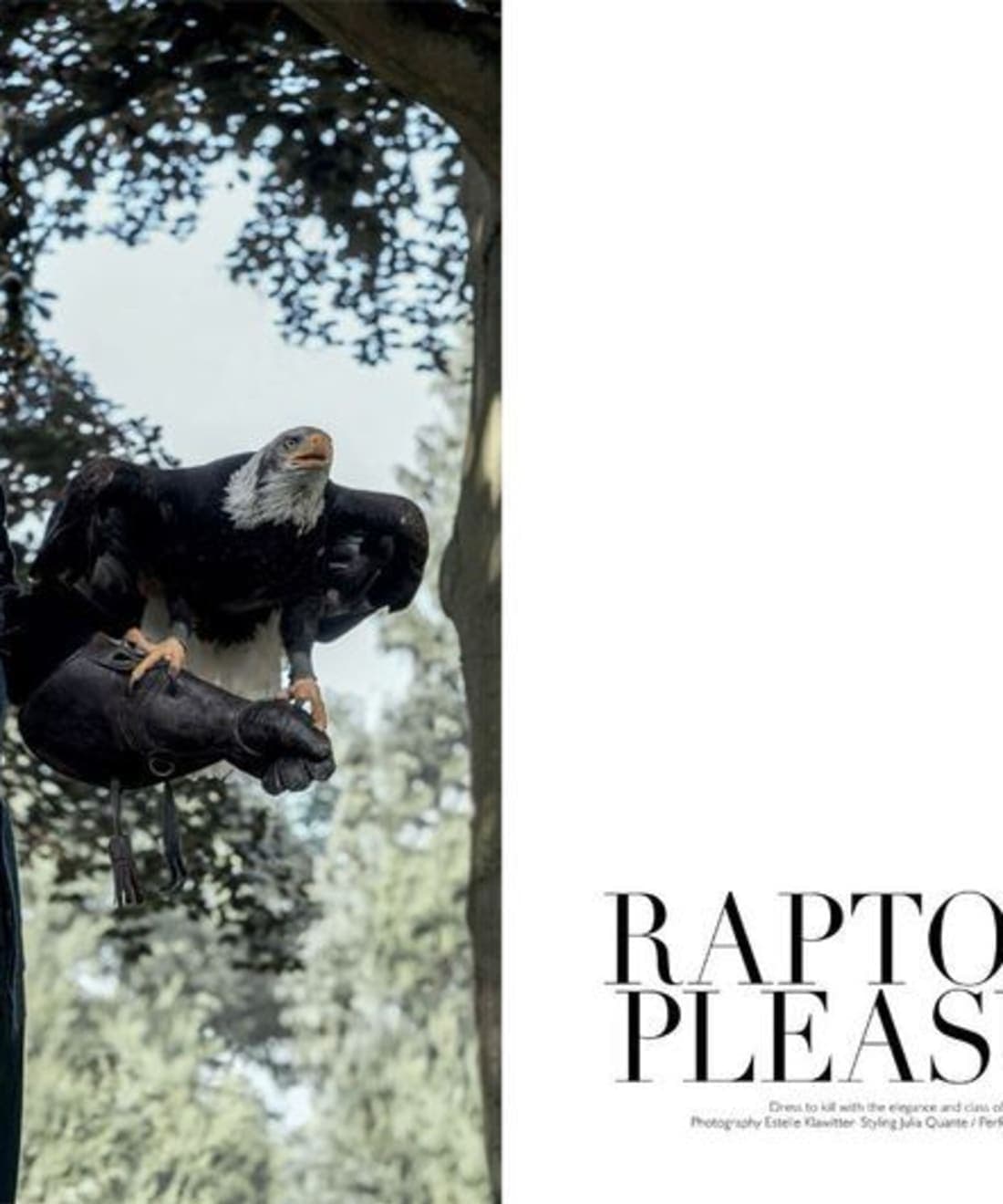 raptorous-pleasures-for-mens-folio-singapore-by-estelle-klawitter-1.jpg