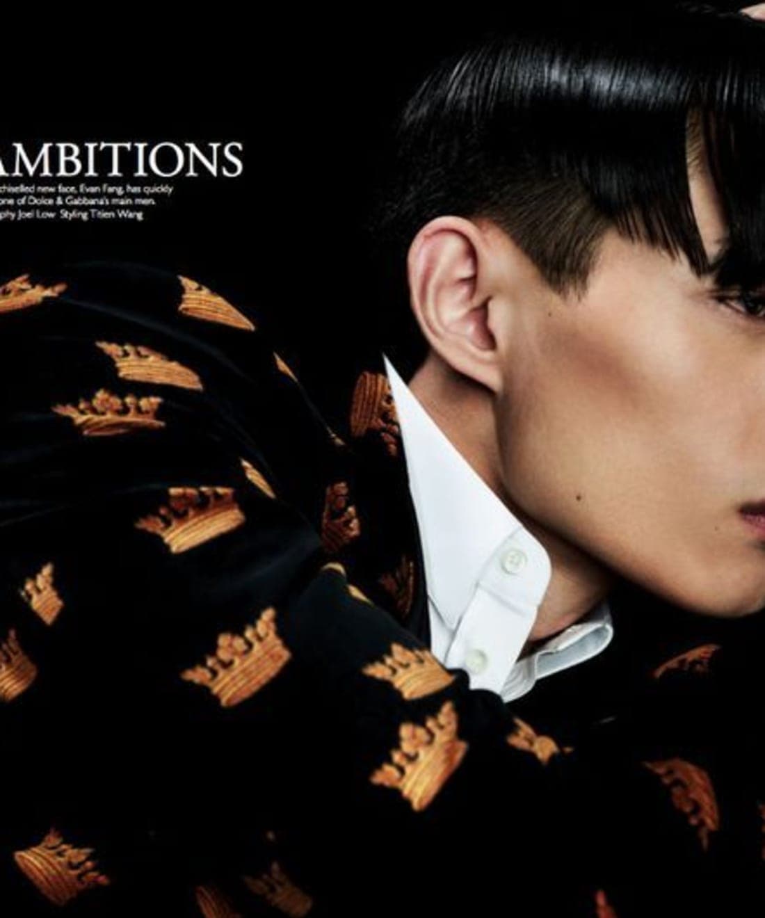 regal-ambitions-1.jpg