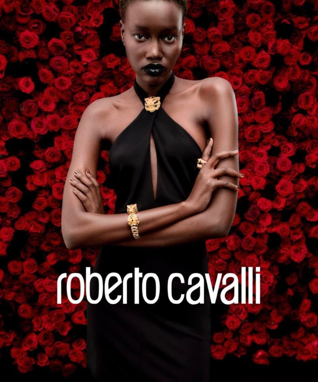 roberto-cavalli-digital-campaign-s-s-25-1.jpg