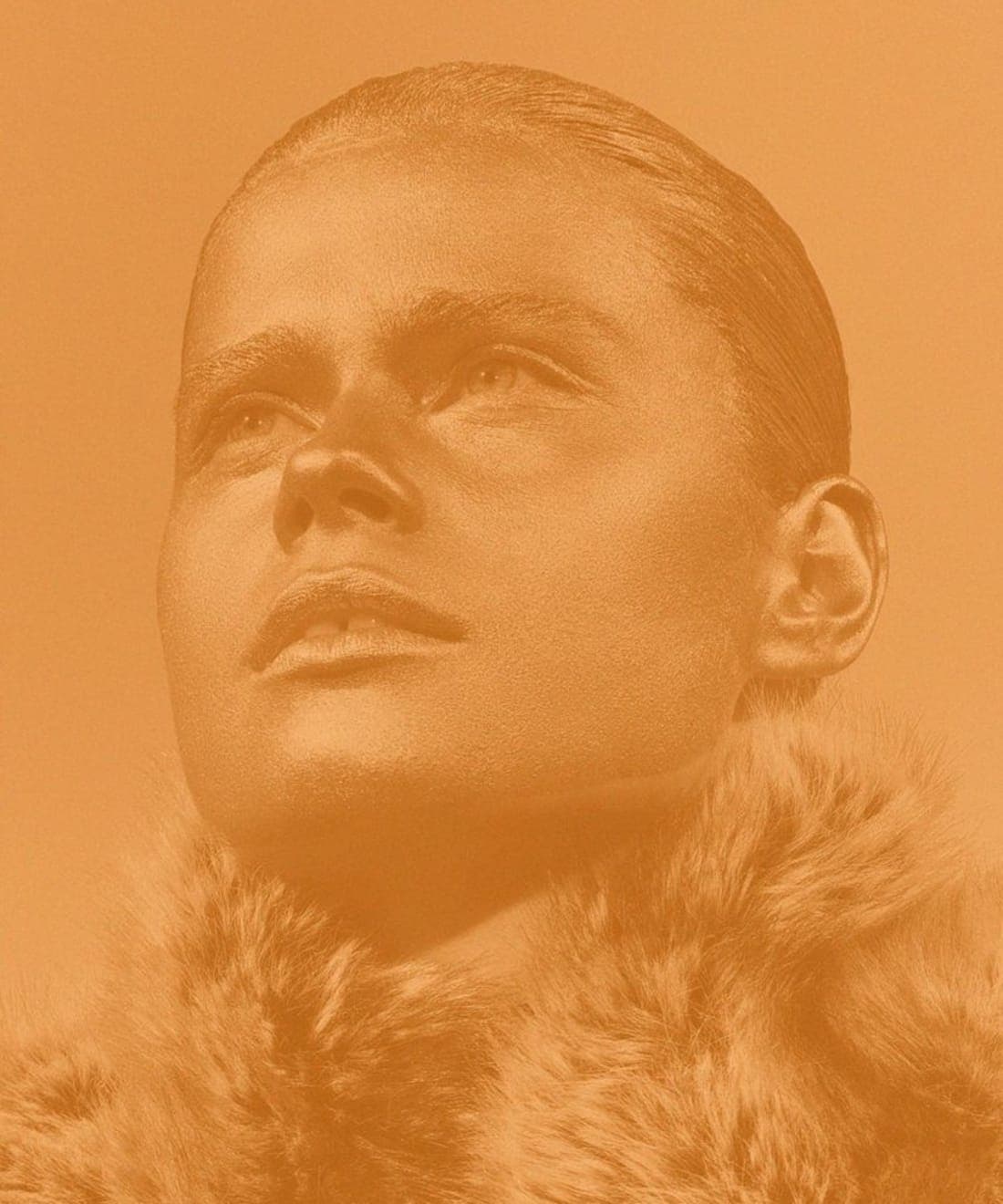 solar-1.jpg