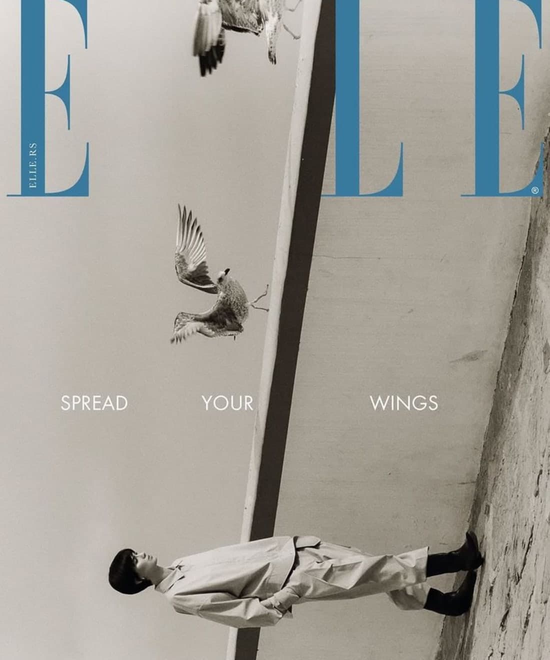 spread-your-wings-1.jpg