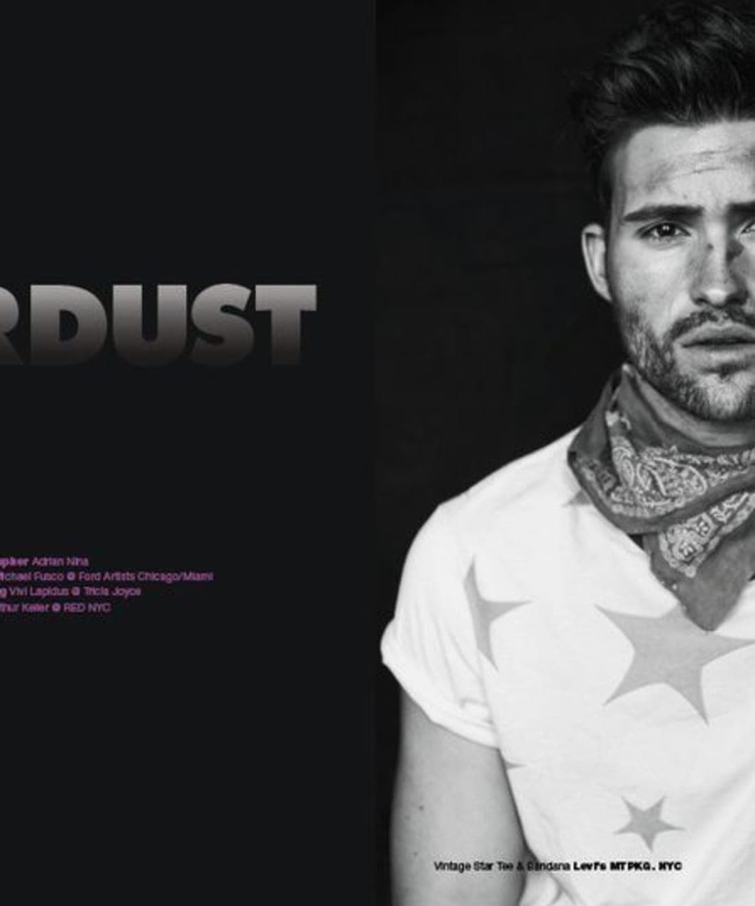 stardust-1.jpg