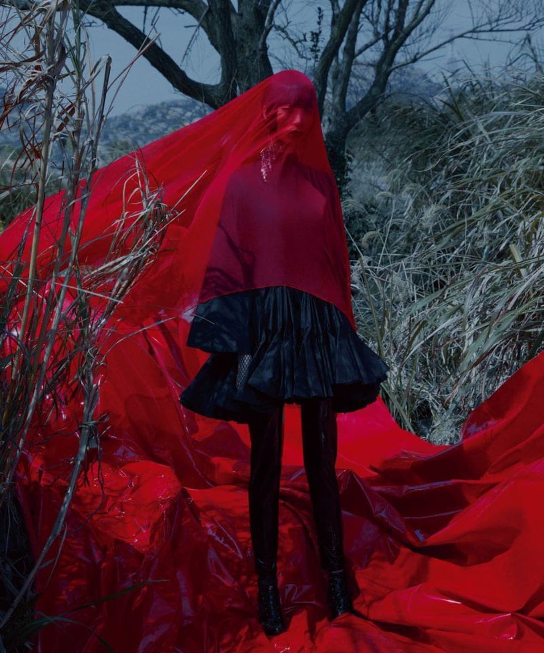 the-coven-1.jpg