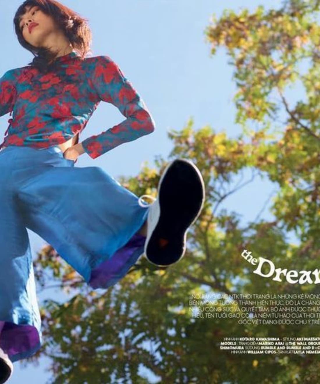 the-dreamer-1.jpg