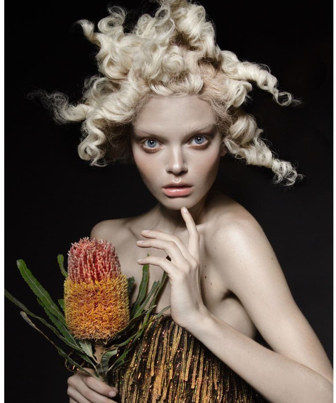 the-flower-1.jpg