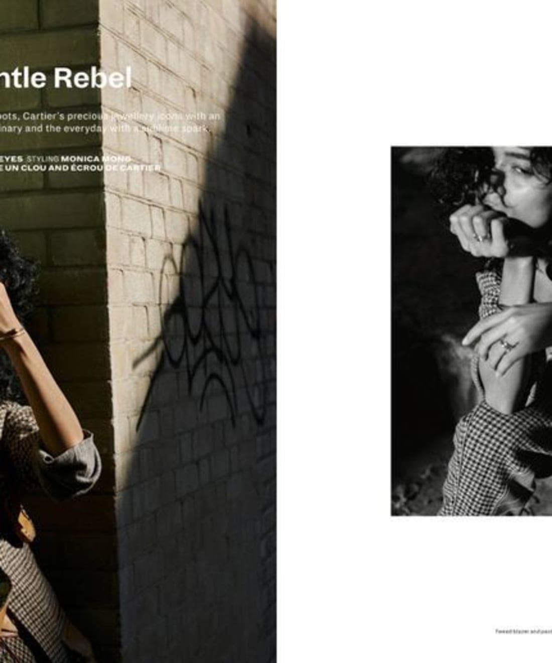 the-gentle-rebel-1.jpg
