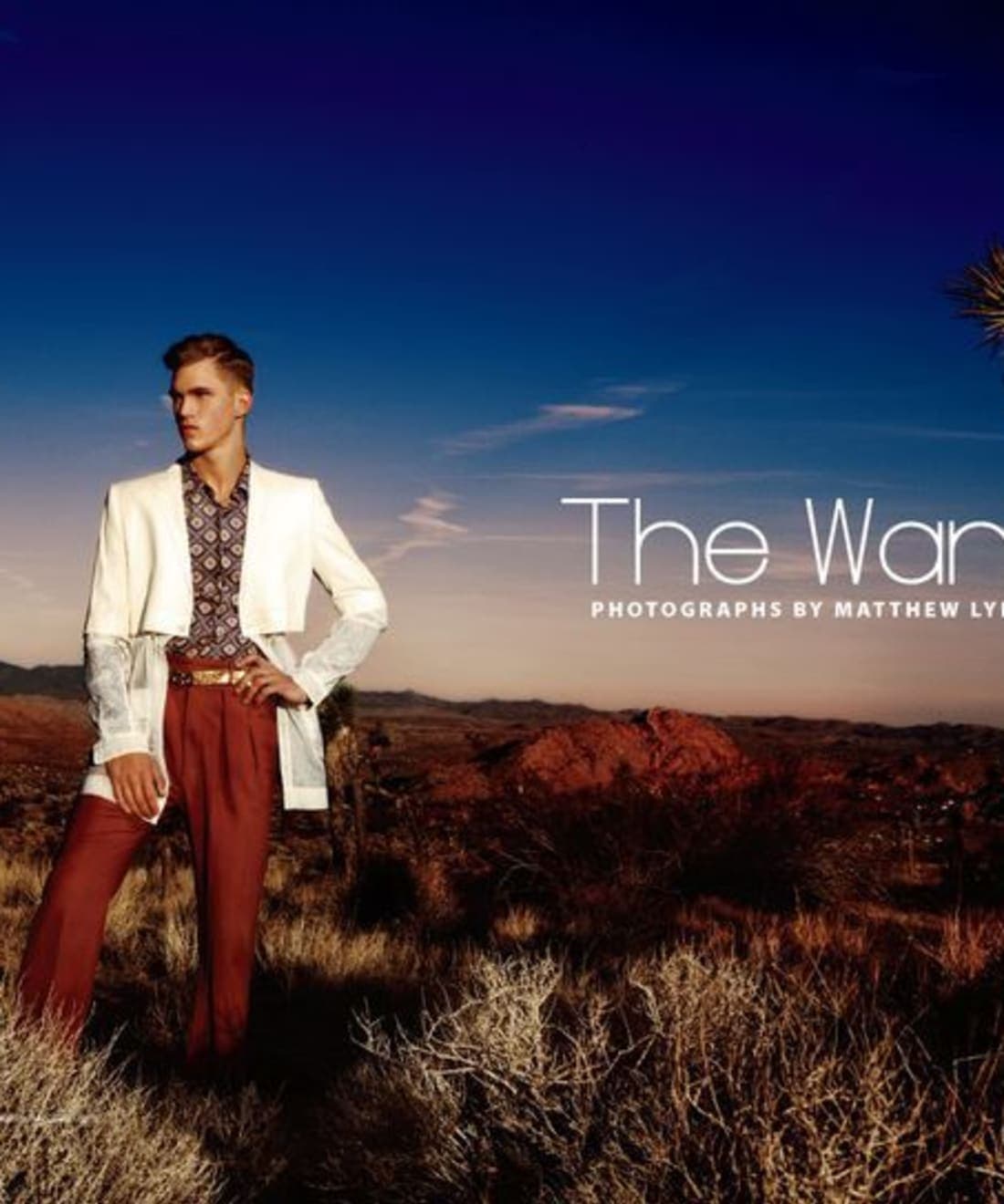 the-wanderers-1.jpg
