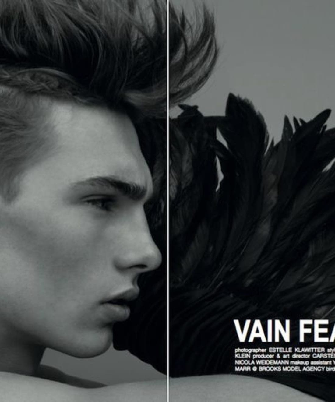 vain-feather-1.jpg