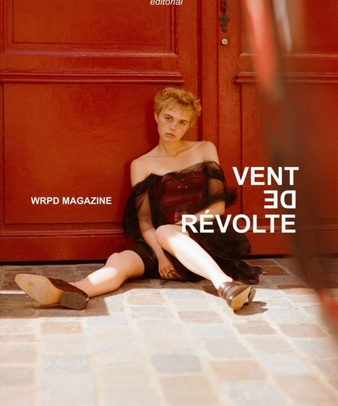vent-de-revolte-1.jpg