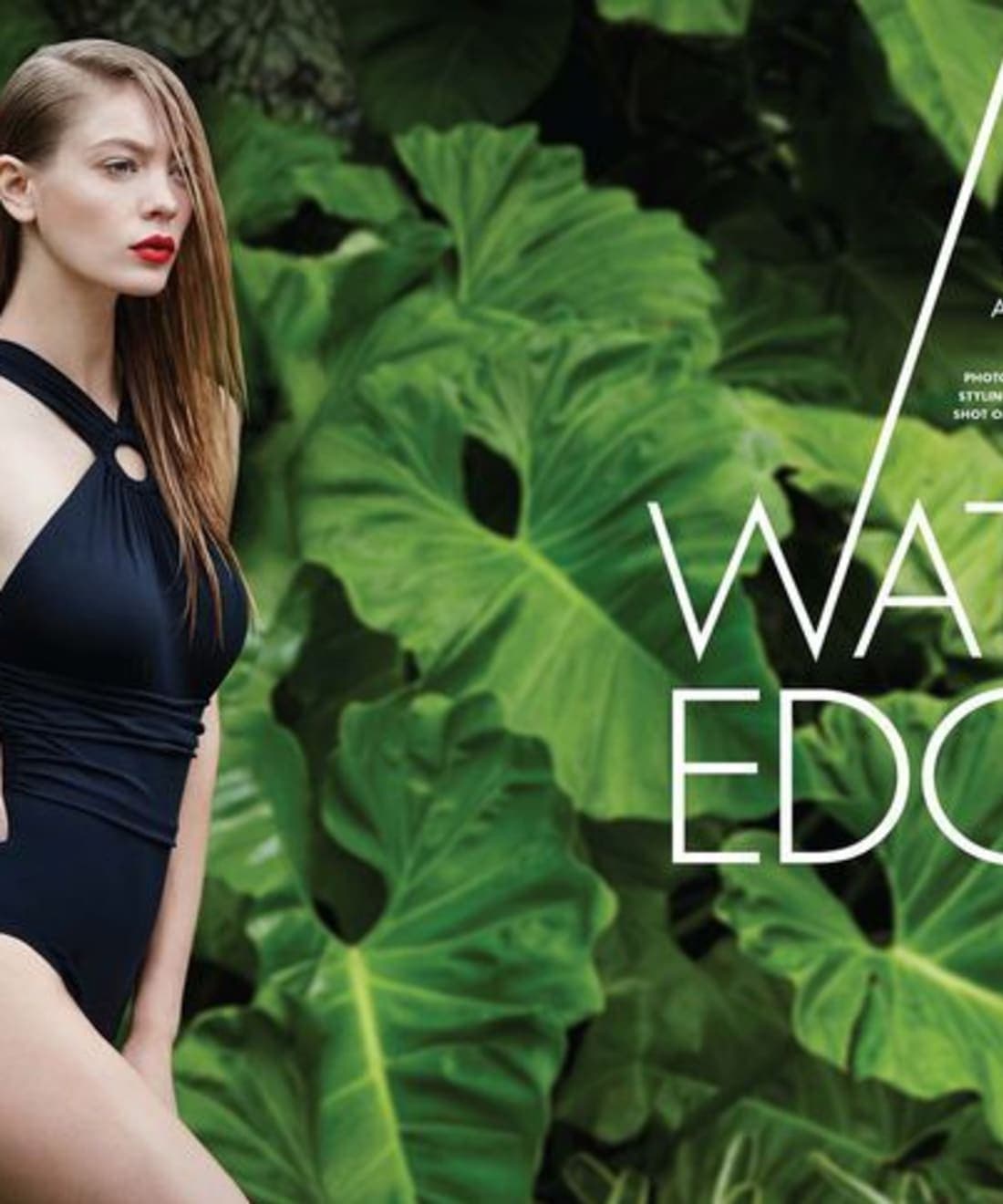 waters-edge-1.jpg