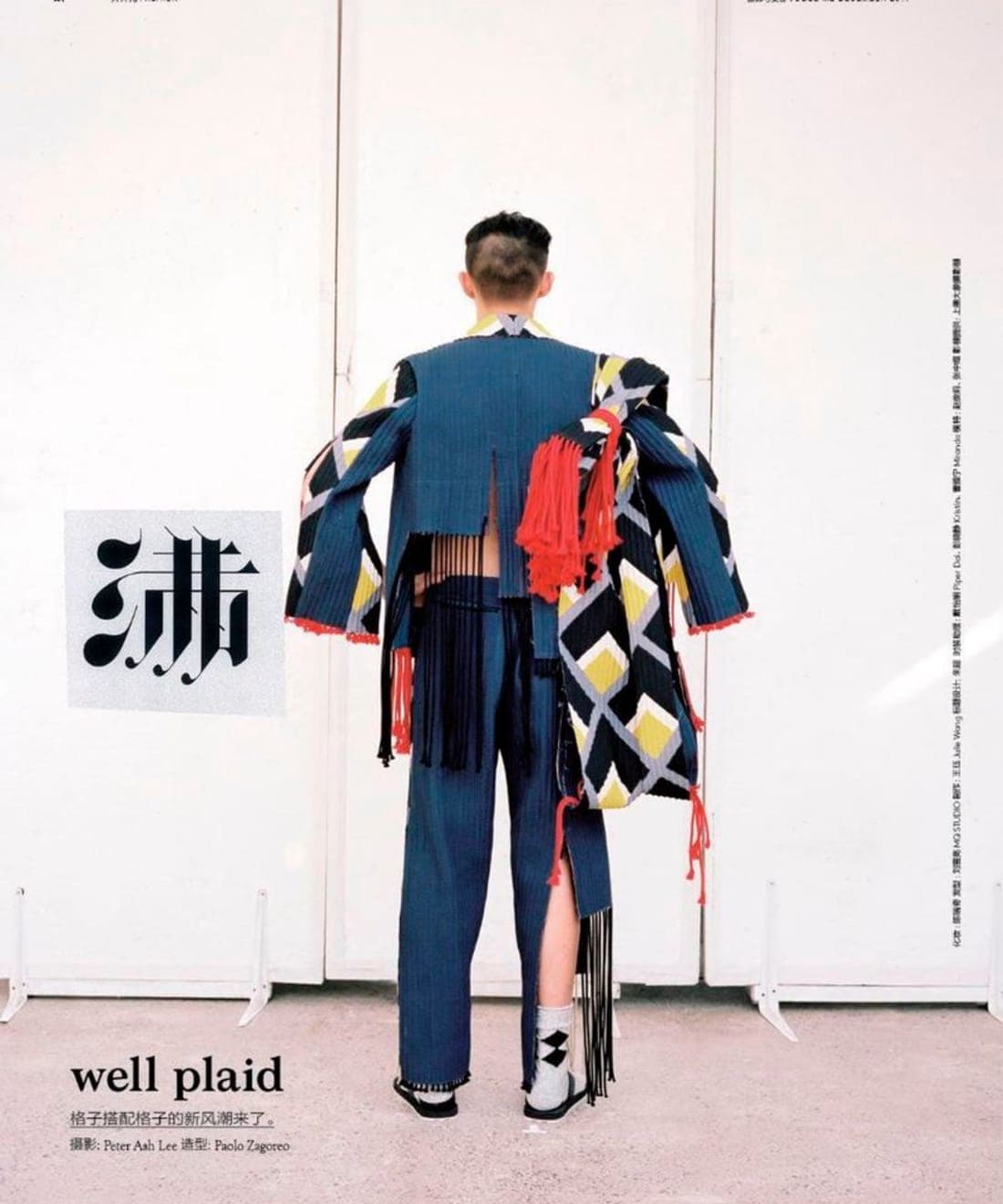 well-plaid-1.jpg