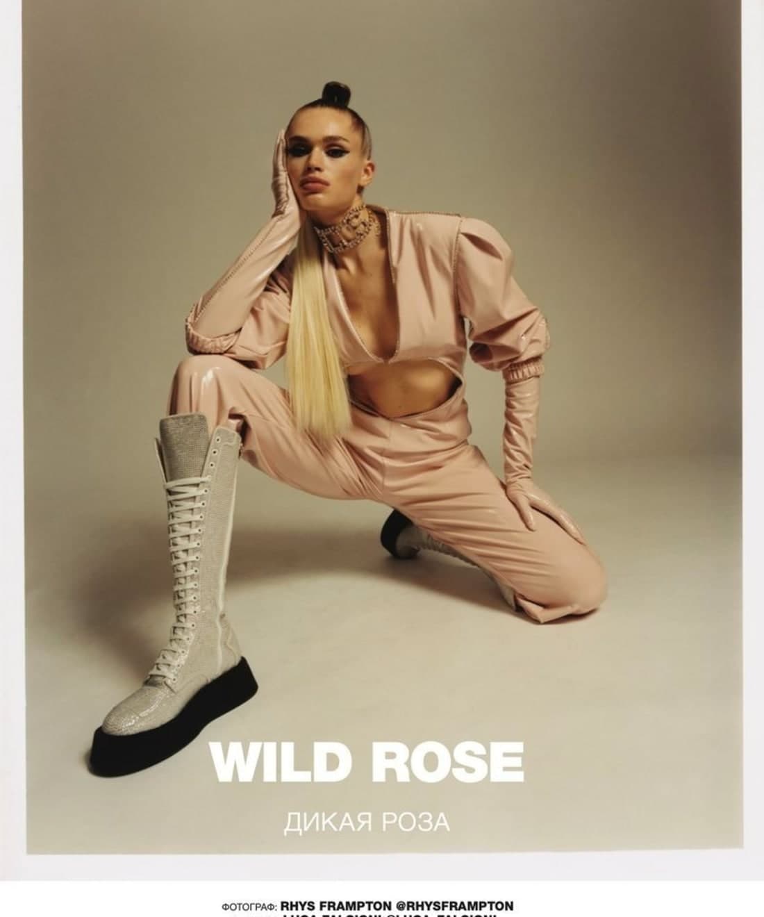 wild-rose-1.jpg