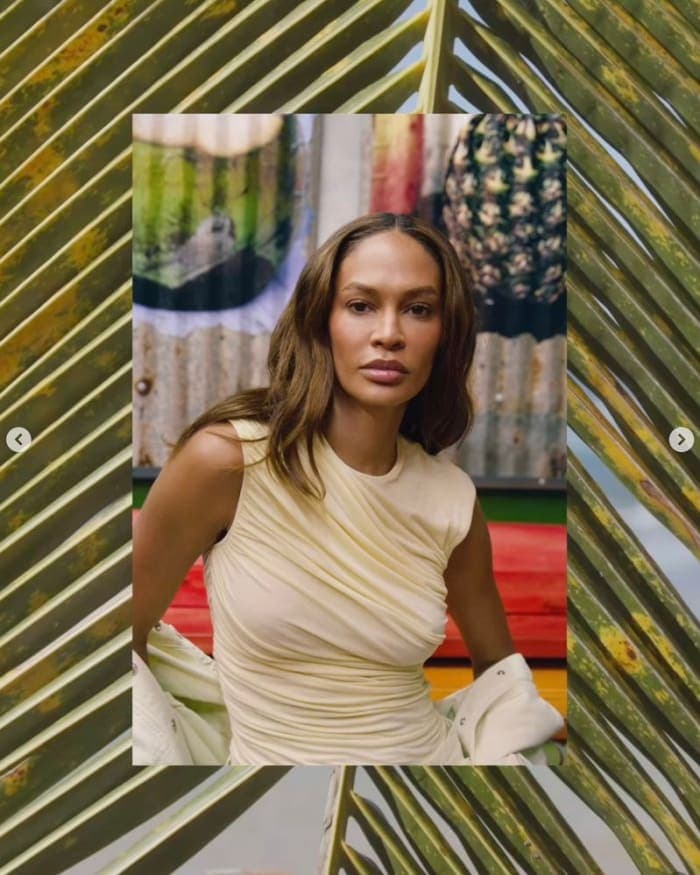 agolde-spring-26-worn-by-joan-smalls-4.jpg