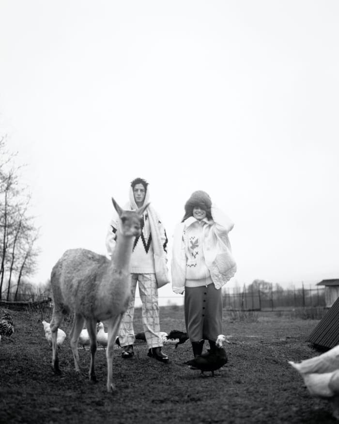 animals-3.jpg
