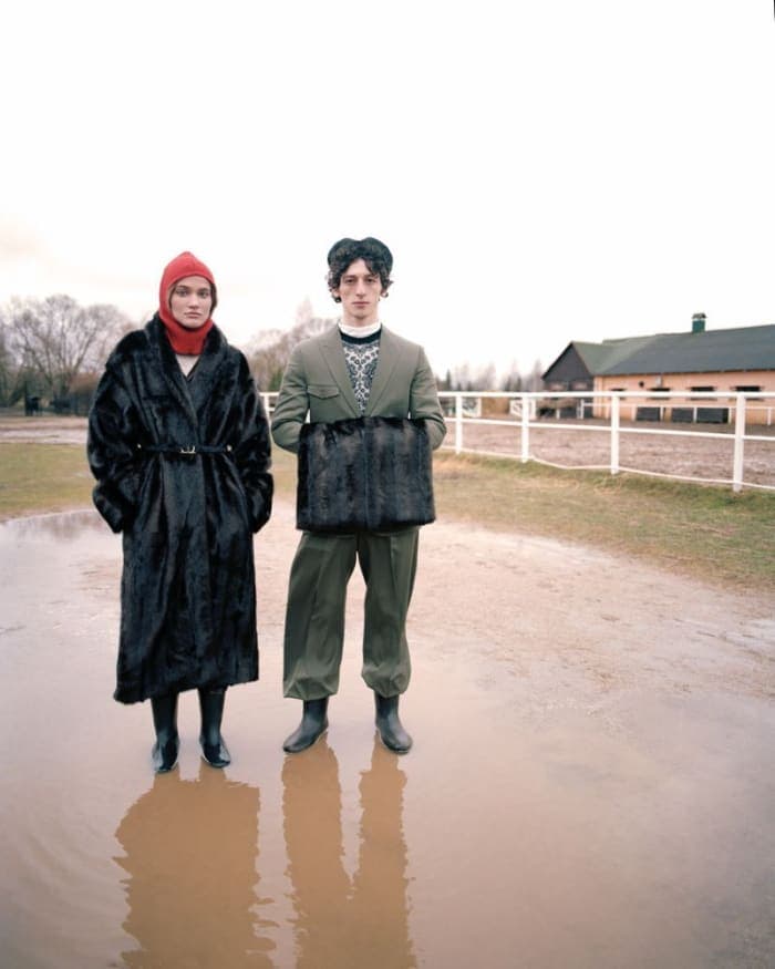 animals-4.jpg