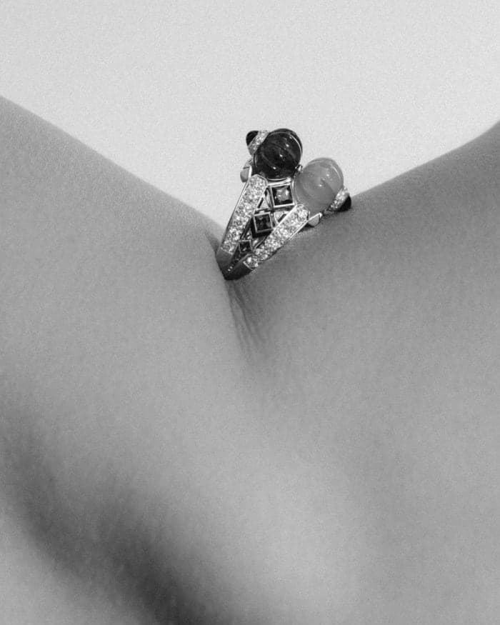 aw22-cartier-special-2.jpg