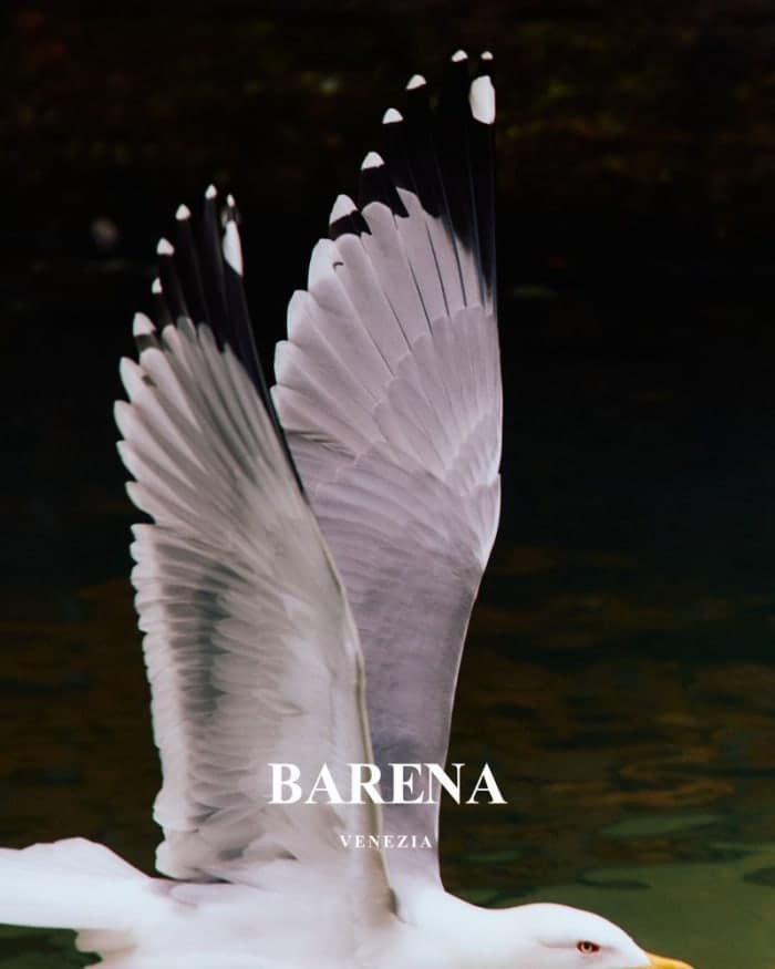 barena-venezia-s-s-25-5.jpg