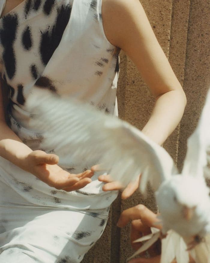bird-of-a-feather-2.jpg