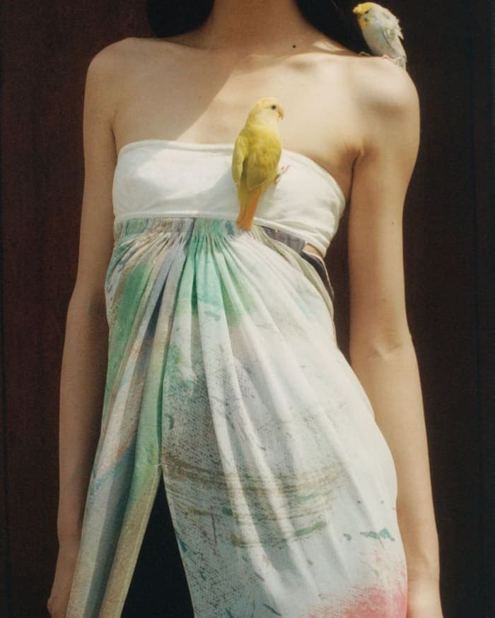 bird-of-a-feather-3.jpg